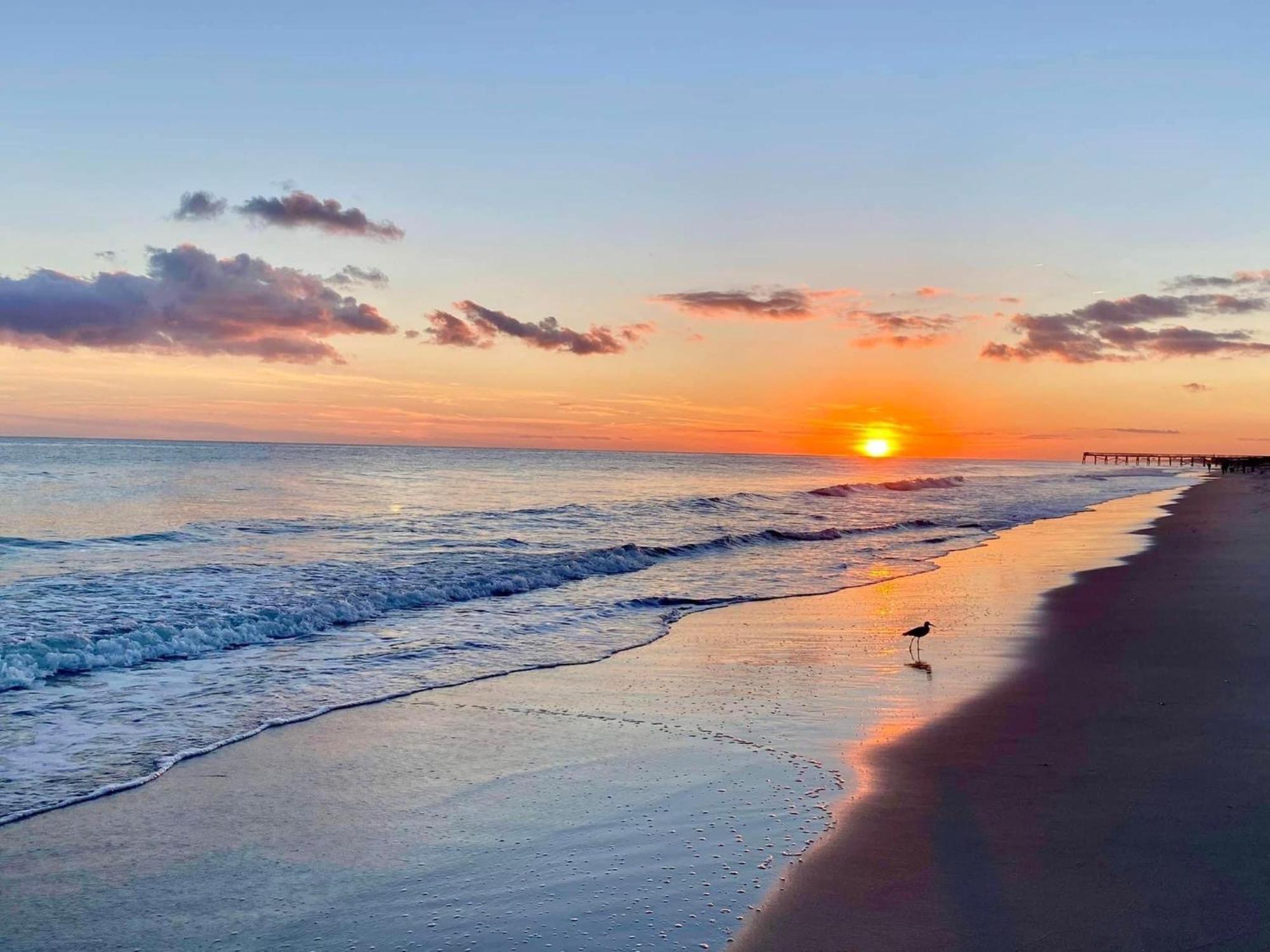 Island Inn Of Atlantic Beach Luaran gambar